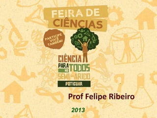 2013
Prof Felipe Ribeiro
 