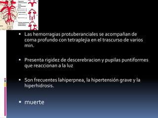  Las hemorragias protuberanciales se acompañan de
coma profundo con tetraplejia en el trascurso de varios
min.
 Presenta rigidez de descerebracion y pupilas puntiformes
que reaccionan a la luz
 Son frecuentes lahiperpnea, la hipertensión grave y la
hiperhidrosis.
 muerte
 