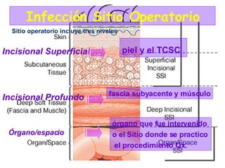 Incisional Superficial piel y el TCSC   Incisional Profundo fascia subyacente y músculo Órgano/espacio órgano que fue intervenido  o el Sitio donde se practico el procedimiento Qx.  Sitio operatorio incluye tres niveles Infección Sitio Operatorio 