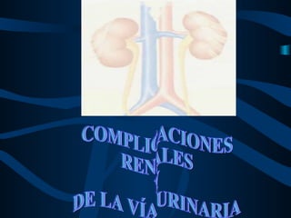 COMPLICACIONES RENALES  Y  DE LA VÍA URINARIA 