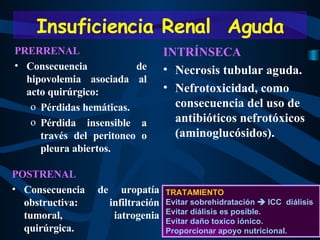 PRERRENAL Consecuencia de hipovolemia asociada al acto quirúrgico:  Pérdidas hemáticas. Pérdida insensible a través del peritoneo o pleura abiertos. INTRÍNSECA Necrosis tubular aguda. Nefrotoxicidad, como consecuencia del uso de antibióticos nefrotóxicos (aminoglucósidos).  POSTRENAL Consecuencia de uropatía obstructiva: infiltración tumoral, iatrogenia quirúrgica. TRATAMIENTO Evitar sobrehidratación    ICC  diálisis Evitar diálisis es posible. Evitar daño toxico iónico. Proporcionar apoyo nutricional. Insuficiencia Renal  Aguda 