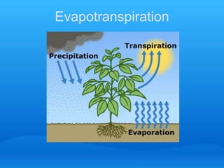 Evapotranspiration
 