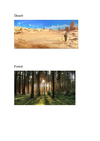 Desert
Forest
 