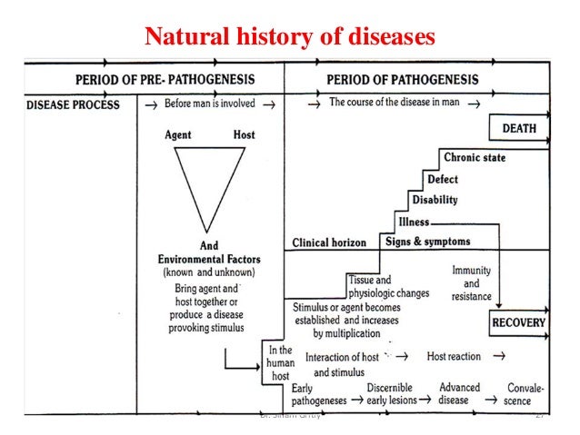 Pneumonitis Natural Treatment Pneumonitis Natural Treatment