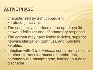 ACTIVE PHASE
 characterized by a mucopurulent
keratoconjunctivitis.
 The conjunctival surface of the upper eyelid
shows a follicular and inflammatory response.
 The cornea may have limbal follicles, superior
neovascularization (pannus), and punctate
keratitis.
 Infection with C trachomatis concurrently occurs
in other extraocular mucous membranes,
commonly the nasopharynx, leading to a nasal
discharge.
 