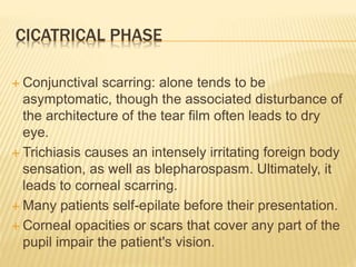 CICATRICAL PHASE
 Conjunctival scarring: alone tends to be
asymptomatic, though the associated disturbance of
the architecture of the tear film often leads to dry
eye.
 Trichiasis causes an intensely irritating foreign body
sensation, as well as blepharospasm. Ultimately, it
leads to corneal scarring.
 Many patients self-epilate before their presentation.
 Corneal opacities or scars that cover any part of the
pupil impair the patient's vision.
 