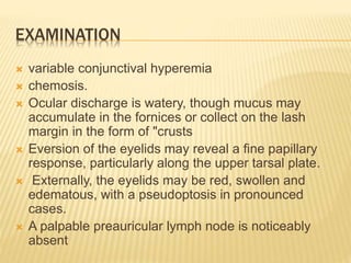 EXAMINATION
 variable conjunctival hyperemia
 chemosis.
 Ocular discharge is watery, though mucus may
accumulate in the fornices or collect on the lash
margin in the form of "crusts
 Eversion of the eyelids may reveal a fine papillary
response, particularly along the upper tarsal plate.
 Externally, the eyelids may be red, swollen and
edematous, with a pseudoptosis in pronounced
cases.
 A palpable preauricular lymph node is noticeably
absent
 