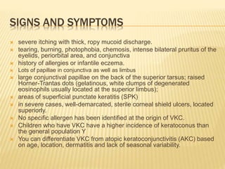 SIGNS AND SYMPTOMS
 severe itching with thick, ropy mucoid discharge.
 tearing, burning, photophobia, chemosis, intense bilateral pruritus of the
eyelids, periorbital area, and conjunctiva
 history of allergies or infantile eczema.
 Lots of papillae in conjunctiva as well as limbus
 large conjunctival papillae on the back of the superior tarsus; raised
Horner-Trantas dots (gelatinous, white clumps of degenerated
eosinophils usually located at the superior limbus);
 areas of superficial punctate keratitis (SPK)
 in severe cases, well-demarcated, sterile corneal shield ulcers, located
superiorly.
 No specific allergen has been identified at the origin of VKC.
 Children who have VKC have a higher incidence of keratoconus than
the general population Y
 You can differentiate VKC from atopic keratoconjunctivitis (AKC) based
on age, location, dermatitis and lack of seasonal variability.
 