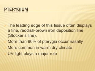 PTERYGIUM
 The leading edge of this tissue often displays
a fine, reddish-brown iron deposition line
(Stocker’s line).
 More than 90% of pterygia occur nasally
 More common in warm dry climate
 UV light plays a major role
 