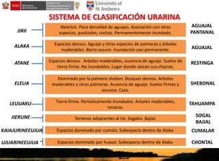 Conocimientos tradicionales del pueblo Urarina vinculados a los ecosistemas de humedales