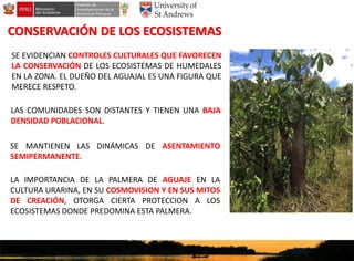 Conocimientos tradicionales del pueblo Urarina vinculados a los ecosistemas de humedales