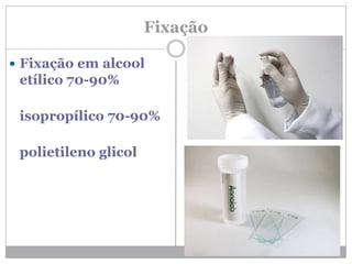 Fixação
 Fixação em alcool
etílico 70-90%
isopropílico 70-90%
polietileno glicol
 