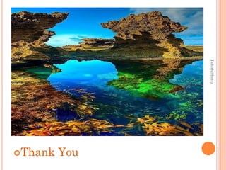 Thank You
LohithShetty
 