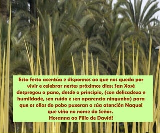 Esta festa acentúa e disponnos ao que nos queda por
vivir e celebrar nestes próximos días: San Xosé
despregou o pano, desde o principio, (con delicadeza e
humildade, sen ruído e sen aparencia ningunha) para
que os ollos do pobo puxeran a súa atención Naquel
que viña no nome do Señor.
Hosanna ao Fillo de David!
 