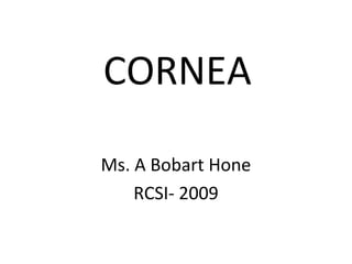 CORNEA
Ms. A Bobart Hone
RCSI- 2009
 