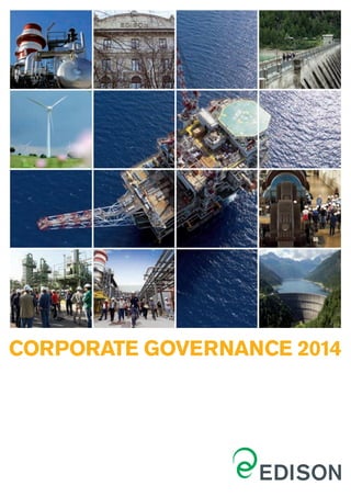 CORPORATE GOVERNANCE 2014
 