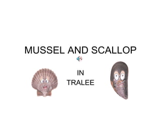 MUSSEL AND SCALLOP IN TRALEE 