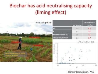 Biochar for sustainable land management and climate change mitigation ...