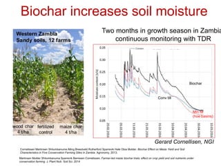 Biochar for sustainable land management and climate change mitigation ...