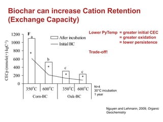 Biochar for sustainable land management and climate change mitigation ...