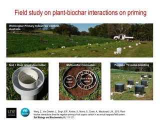 Biochar for sustainable land management and climate change mitigation ...