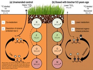 Biochar for sustainable land management and climate change mitigation ...