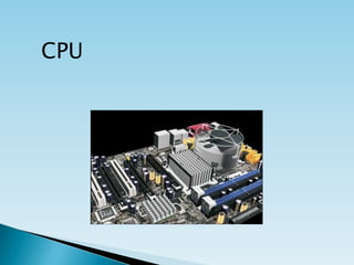 CPU

 