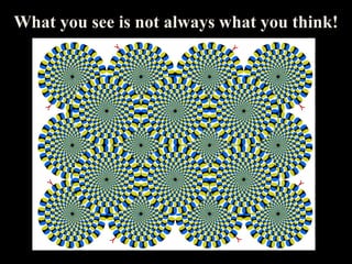 What you see is not always what you think!
 