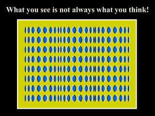 What you see is not always what you think!
 