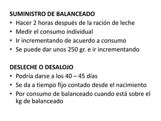 SUMINISTRO DE BALANCEADO
• Hacer 2 horas después de la ración de leche
• Medir el consumo individual
• Ir incrementando de acuerdo a consumo
• Se puede dar unos 250 gr. e ir incrementando
DESLECHE O DESALOJO
• Podría darse a los 40 – 45 días
• Se da a tiempo fijo contado desde el nacimiento
• Por consumo de balanceado cuando está sobre el
kg de balanceado
 