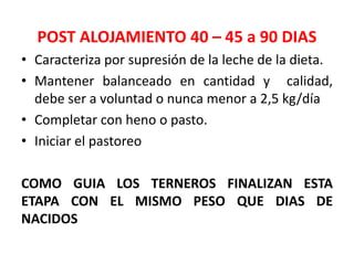 POST ALOJAMIENTO 40 – 45 a 90 DIAS
• Caracteriza por supresión de la leche de la dieta.
• Mantener balanceado en cantidad y calidad,
debe ser a voluntad o nunca menor a 2,5 kg/día
• Completar con heno o pasto.
• Iniciar el pastoreo
COMO GUIA LOS TERNEROS FINALIZAN ESTA
ETAPA CON EL MISMO PESO QUE DIAS DE
NACIDOS
 