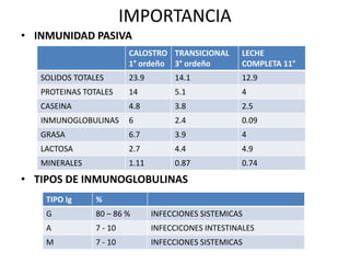 IMPORTANCIA
• INMUNIDAD PASIVA
CALOSTRO
1° ordeño
TRANSICIONAL
3° ordeño
LECHE
COMPLETA 11°
SOLIDOS TOTALES 23.9 14.1 12.9
PROTEINAS TOTALES 14 5.1 4
CASEINA 4.8 3.8 2.5
INMUNOGLOBULINAS 6 2.4 0.09
GRASA 6.7 3.9 4
LACTOSA 2.7 4.4 4.9
MINERALES 1.11 0.87 0.74
TIPO Ig %
G 80 – 86 % INFECCIONES SISTEMICAS
A 7 - 10 INFECCICONES INTESTINALES
M 7 - 10 INFECCIONES SISTEMICAS
• TIPOS DE INMUNOGLOBULINAS
 