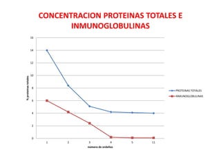 CONCENTRACION PROTEINAS TOTALES E
INMUNOGLOBULINAS
0
2
4
6
8
10
12
14
16
1 2 3 4 5 11
%proteinastotales
número de ordeños
PROTEINAS TOTALES
INMUNOGLOBULINAS
 