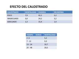 CALOSTRADO MORTALIDAD DIARREA NEUMONIA
POCO 7,9 42,2 5,2
INADECUADO 3,0 24,2 3,2
ADECUADO 1,3 15,4 1,4
TIEMPO - HORAS MORTALIDAD
2 -6 5,2
7 - 12 9,3
13 - 24 10,7
25 - 48 20,5
EFECTO DEL CALOSTRADO
 