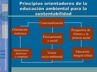Principios orientadores de la educación ambiental para la sustentabilidad Orientación  sistémica Interacciones  dinámicas  y complejas Visión  socio-ambiental Contextualización Ética personal  y social Perspectiva de  Género y la  justicia social Educación  integral crítica 