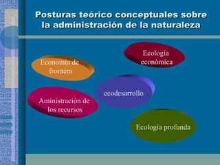 Posturas teórico conceptuales sobre la administración de la naturaleza Economía de  frontera Aministración de  los recursos Ecología  económica ecodesarrollo Ecología profunda 