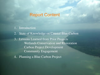 Report Content 
1. Introduction 
2. State of Knowledge on Coastal Blue Carbon 
3. Lessons Learned from Prior Projects 
Wetlands Conservation and Restoration 
Carbon Project Development 
Community Engagement 
4. Planning a Blue Carbon Project 
 