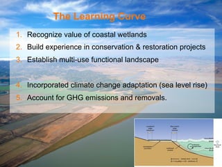 The Learning Curve 
1. Recognize value of coastal wetlands 
2. Build experience in conservation & restoration projects 
3. Establish multi-use functional landscape 
4. Incorporated climate change adaptation (sea level rise) 
5. Account for GHG emissions and removals. 
 