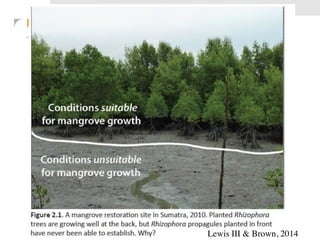 Lewis III & Brown, 2014 
 