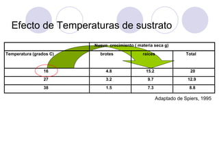 Efecto de Temperaturas de sustrato
                         Nuevo crecimiento ( materia seca g)

Temperatura (grados C)     brotes              raíces                Total



                 16           4.8                15.2                  20
                 27           3.2                 9.7                12.9
                 38           1.5                 7.3                 8.8

                                                        Adaptado de Spiers, 1995
 