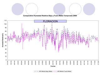 Humedad Relativa(%)




                                           0
                                               10
                                                    20
                                                         30
                                                               40
                                                                    50
                                                                         60
                                                                              70
                                                                                    80
                                                                                         90
                                                                                              100
                                                                                                         110
                                01/01/09


                                15/01/09


                                29/01/09


                                12/02/09


                                26/02/09


                                12/03/09


                                26/03/09


                                09/04/09


                                23/04/09


                                07/05/09


                                21/05/09


                                04/06/09


                                18/06/09




HR Media Bajo Malla
                                02/07/09




                       Fechas
                                16/07/09
                                                                                                    FLORACION




                                30/07/09


                                13/08/09


                                27/08/09


                                10/09/09
HR Media Fuera Malla




                                24/09/09
                                                                                                                Comparativo Humedad Relativa Bajo y Fuera Malla Temporada 2009




                                08/10/09


                                22/10/09


                                05/11/09


                                19/11/09


                                03/12/09


                                17/12/09


                                31/12/09
 
