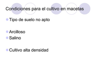 Condiciones para el cultivo en macetas

 Tipo de suelo no apto

 Arcilloso
 Salino

 Cultivo alta densidad
 