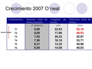 Crecimiento 2007 O´neal

          Tratamientos.   Numero total de   Longitud   de   Diámetro total de
                          brotes basales    brotes          brotes
                             # /planta          cm                mm
                 T1            9,00            22,03             52,19
Aserrín: suelo
                 T2            8,08            17,96             48,93
                 T3            7,92            20,22             42,97
                 T4            7,50            16,16             33,71
                 T5            8,31            13,35             49,06
                 T6            8,50            14,58             48,83
 