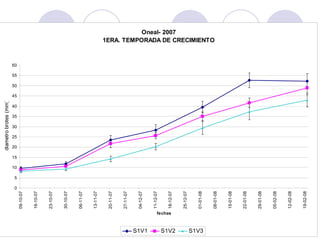 diametro brotes (mm)




                           0
                               5
                                   10
                                        15
                                             20
                                                  25
                                                       30
                                                            35
                                                                 40
                                                                      45
                                                                           50
                                                                                55
                                                                                     60
                09-10-07


                16-10-07


                23-10-07


                30-10-07


                06-11-07


                13-11-07


                20-11-07


                27-11-07


                04-12-07




S1V1
                11-12-07




       fechas
                18-12-07




S1V2
                                                                                                    Oneal- 2007




                25-12-07


                01-01-08


S1V3
                                                                                          1ERA. TEMPORADA DE CRECIMIENTO




                08-01-08


                15-01-08


                22-01-08


                29-01-08


                05-02-08


                12-02-08


                19-02-08
 