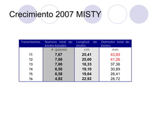 Crecimiento 2007 MISTY


  Tratamientos.   Numero total de   Longitud   de   Diámetro total de
                  brotes basales    brotes          brotes
                     # /planta          cm                mm
       T1              7,67            25,41             43,93
       T2              7,08            25,00             41,26
       T3              7,00            18,33             37,36
       T4              6,50            19,10             30,89
       T5              6,58            19,64             28,41
       T6              4,92            22,92             28,72
 