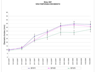 Diametro brotes (mm)




                    0
                        5
                            10
                                 15
                                       20
                                            25
                                                 30
                                                      35
                                                           40
                                                                45
                                                                     50
                                                                          55
                                                                               60
       09-10-2007


       16-10-2007


       23-10-2007


       30-10-2007


       06-11-2007


       13-11-2007


       20-11-2007




S1V1
       27-11-2007


       04-12-2007


       11-12-2007
                                                                                             Misty- 2007




       18-12-2007




S1V2
       25-12-2007
                                                                                    1ERA TEMPORADA CRECIMIENTO




       01-01-2008


       08-01-2008


       15-01-2008


       22-01-2008
S1V3




       29-01-2008


       05-02-2008


       12-02-2008


       19-02-2008
 