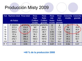 Producción Misty 2009
Trat Numero total Peso total  Peso     Peso   Peso   Peso Cosecha Cosecha
                              fruta    fruta  ind.   ind.  medio   grande
       de frutos             Calibre Calibre frutos frutos
                             medio    grande medio grande
       # /planta   g/planta g/planta g/planta   g      g     %        %
 T1      317,3      314,9      187      84,9    1     1,5    58     29,4
 T2      377,3      475,1     221,3    233,3   1,1    1,7   49,9    45,9
 T3      335.6      301.3     174.3     48.7  0.94   1.48   53.6    21.8
 T4       97.6      225.1      78.1     64.8  1.01   1.53   42.7    30.5
 T5      105.2      288.3      89.2    189.2  1.17   1.79   34.2    52.2
 T6      276.1      356.6     158.3    157.0  1.12   1.67   40.6    50.1
CV        32.7       25.4      37.3     43.6   7.3   10.1   27.2     35
Pr F      0.33       0.55       0.7     0.18  0.07   0.33   0.56    0.47



                     +40 % de la producción 2008
 