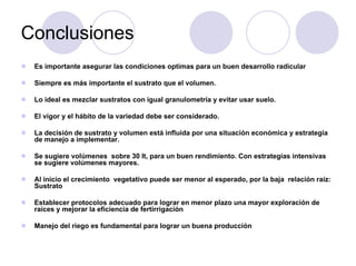 Conclusiones
 Es importante asegurar las condiciones optimas para un buen desarrollo radicular

 Siempre es más importante el sustrato que el volumen.

 Lo ideal es mezclar sustratos con igual granulometría y evitar usar suelo.

 El vigor y el hábito de la variedad debe ser considerado.

 La decisión de sustrato y volumen está influida por una situación económica y estrategia
 de manejo a implementar.

 Se sugiere volúmenes sobre 30 lt, para un buen rendimiento. Con estrategias intensivas
 se sugiere volúmenes mayores.

 Al inicio el crecimiento vegetativo puede ser menor al esperado, por la baja relación raíz:
 Sustrato

 Establecer protocolos adecuado para lograr en menor plazo una mayor exploración de
 raíces y mejorar la eficiencia de fertirrigación

 Manejo del riego es fundamental para lograr un buena producción
 