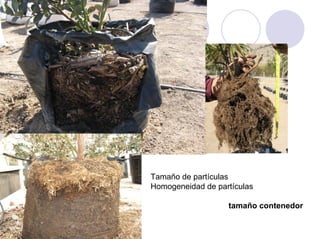 Tamaño de partículas
Homogeneidad de partículas

                   tamaño contenedor
 