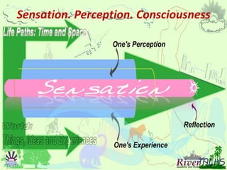 Sensation. Perception. Consciousness
 